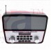 OkaeYa SL-BS240FMDL MIni Portbele Digital speaker with Disco Light